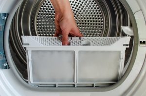 Housewife Holds Lint Trap From Frontloading Tumble Dryer Womans Hand